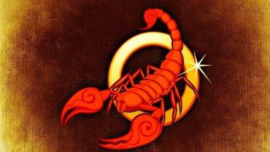 Годишен хороскоп за зодия Скорпион