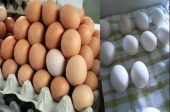 яйца избелване