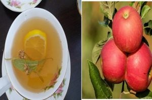 липа и ябълки