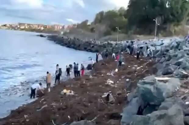 морето