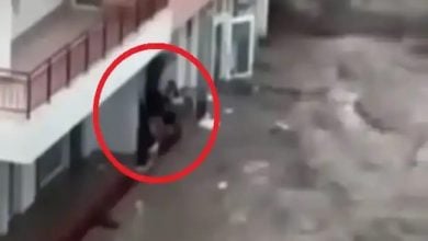 Свети Влас