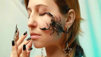 зодия Скорпион
