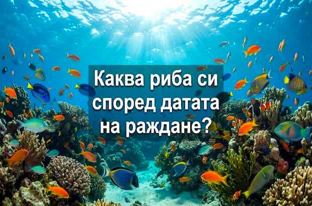 каква риба
